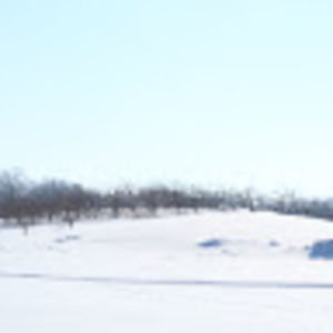 Meet your Posher, Roxy